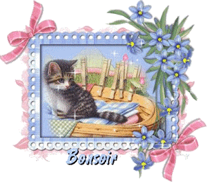 Gif animé bonsoir chat
